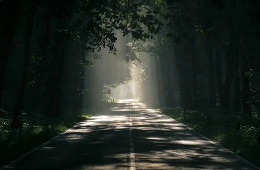 交通運輸部擬實施新一輪農(nóng)村公路提升行動